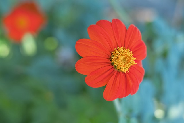 并下定决心 并下定决心