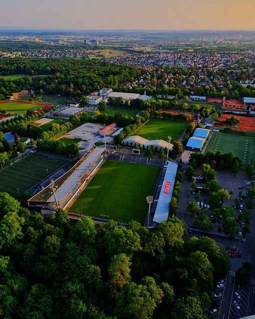 义上的巅峰 义上的巅峰