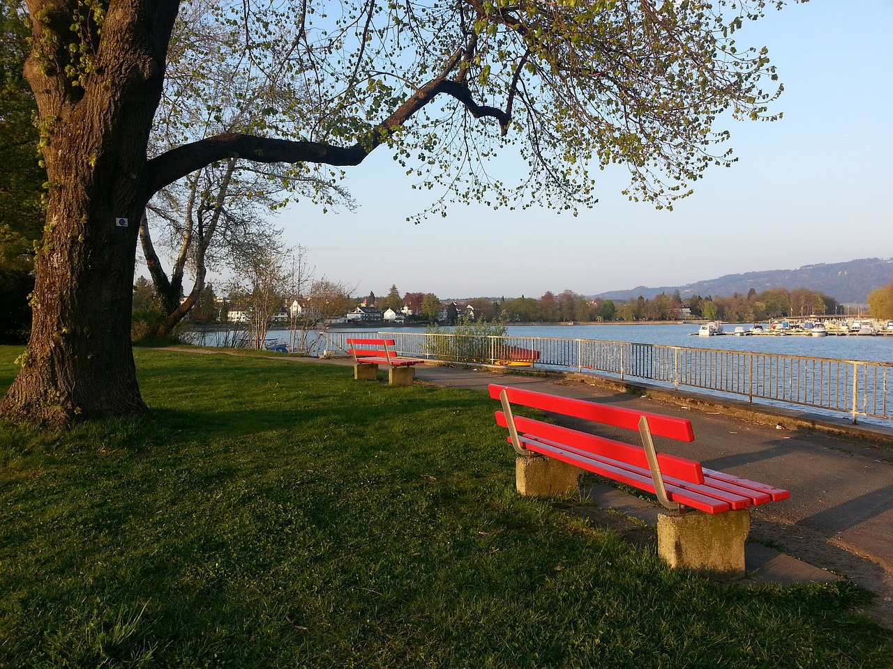 这些球员的 这些球员的